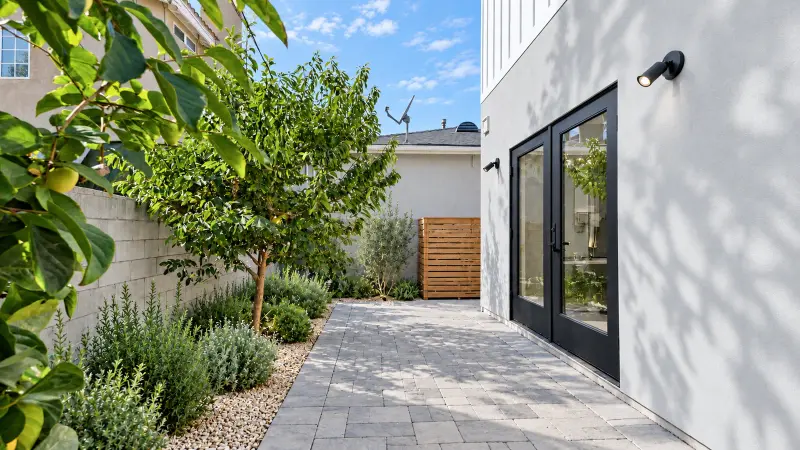 Side yard of the Culver City ADU with a paver path, fruit tree, drought-tolerant planting, and black-framed French doors on the stucco wall