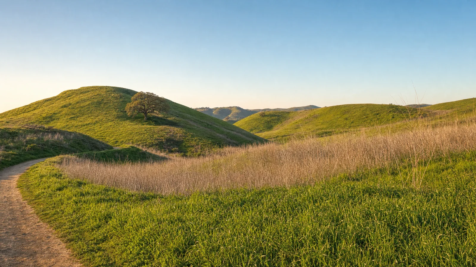Building an ADU in Hidden Hills, CA — the oak-shaded equestrian landscape of the Santa Monica Mountains foothills, where CALI ADU permits Signature Home ADUs under HHMC Article P