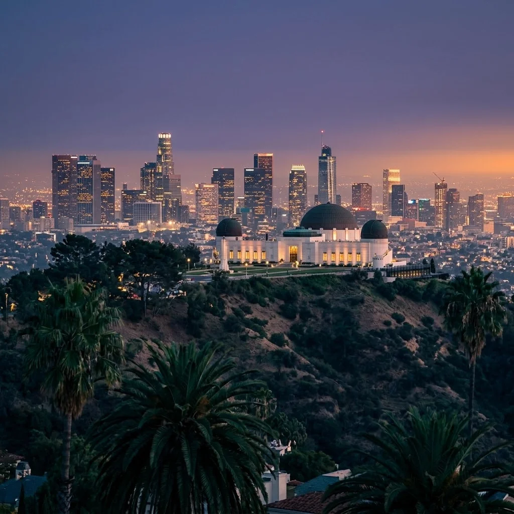 Building an ADU in Los Angeles, CA — palm-lined residential neighborhood under the Hollywood Hills where CALI ADU has permitted and built 126 backyard ADUs across LA County since 2017